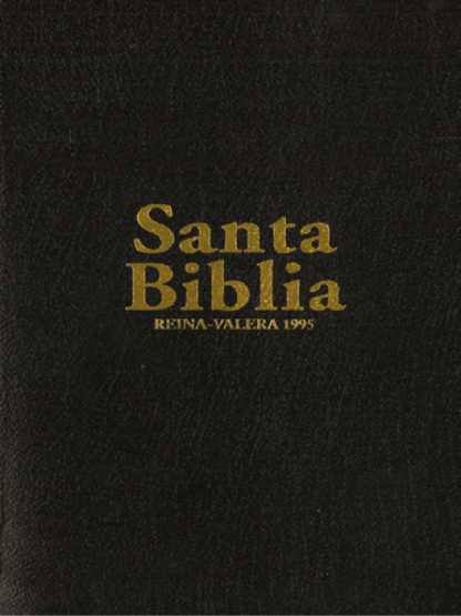 Biblia pastoral RV95 - piel