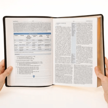 La Biblia de Estudio Andrews es una presentación innovadora y práctica de las Escrituras, diseñada tanto para el nuevo creyente como para el estudiante experimentado. Características destacables: -Tipografía y diseño que facilitan la lectura. -Impresión a dos colores. -Versión Reina-Valera de 1995. -Más de 12.000 notas de estudio preparadas por un grupo internacional de acreditados eruditos y teólogos. -Introducción a cada libro de la Biblia, con un bosquejo. -Sistemas de referencias cruzadas único para iluminar los grandes temas de la Biblia. -Margen central resaltado con referencias cruzadas. -11 mapas a dos colores en el texto. -25 tablas e ilustraciones con información relevante sobre la Biblia. -Material auxiliar con herramientas de estudio.