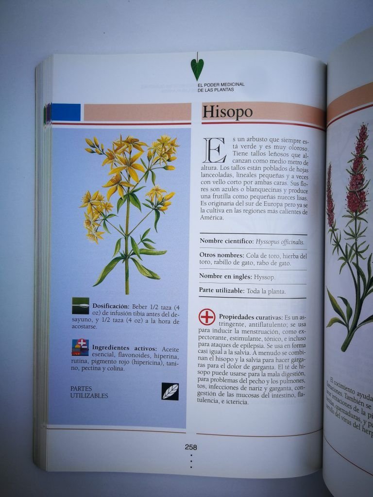 El poder medicinal  de las plantas TD - Imagen 5
