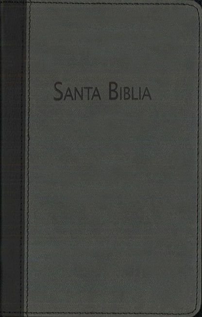 Biblia rvc pequeña piel gris