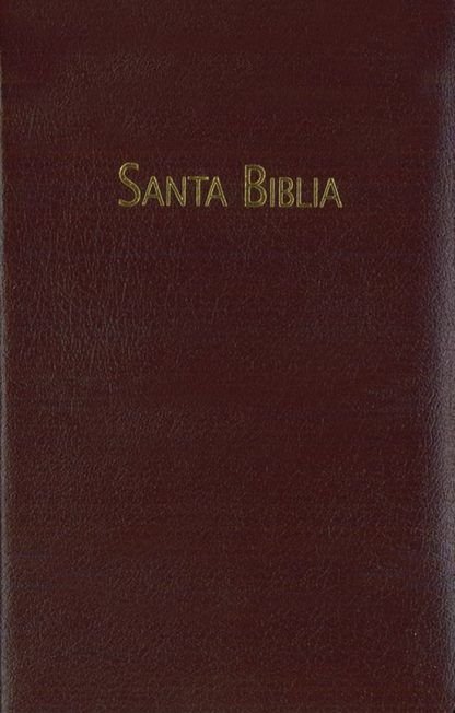 Biblia rvc pequeña vino