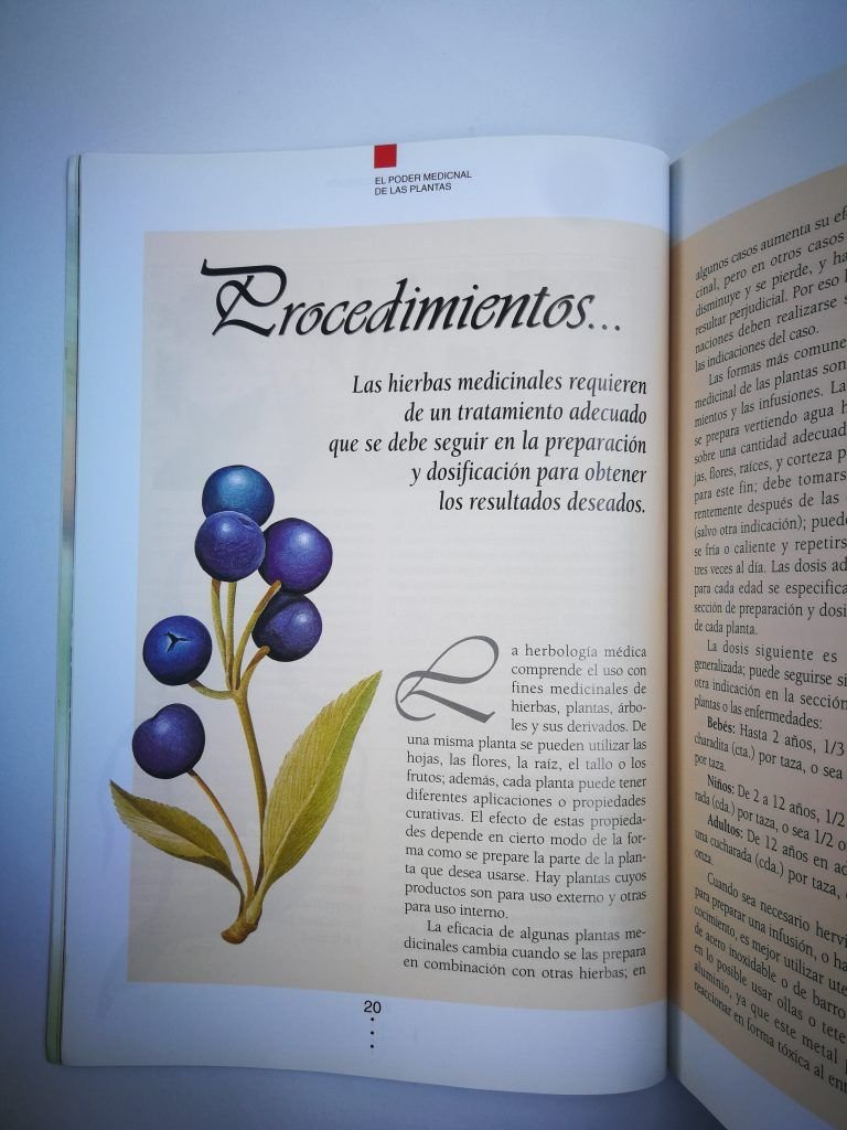 El poder medicinal  de las plantas TF - Imagen 6