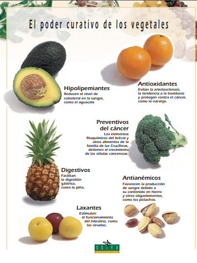 El poder medicinal de los alimentos - Imagen 7