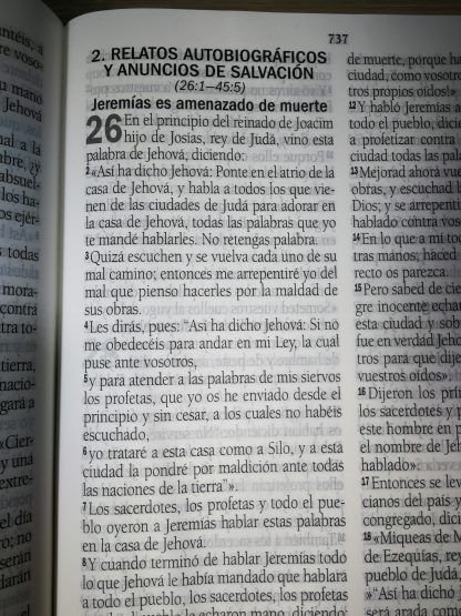 BIBLIA LETRA GIGANTE RV95 - Imagen 5
