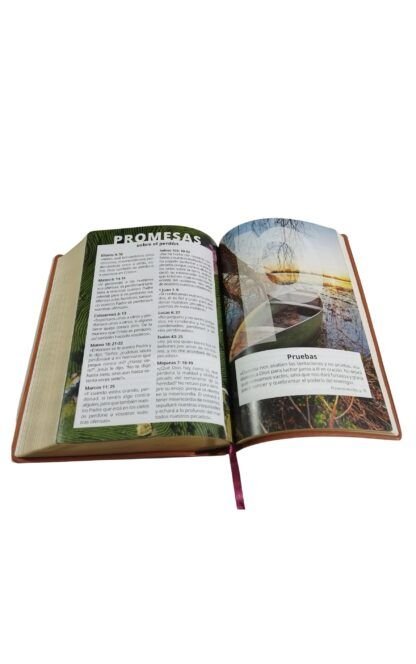 Biblia Reina Valera 1995 promesas letra grande con himnario - Imagen 4