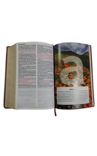 Biblia Reina Valera 1995 promesas letra grande con himnario - Imagen 5