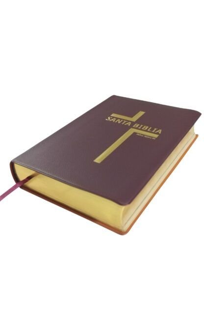 Biblia Reina Valera 1995 promesas letra grande con himnario - Imagen 3