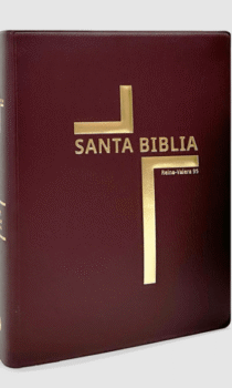 Biblia Reina Valera 1995 promesas letra grande con himnario color marron