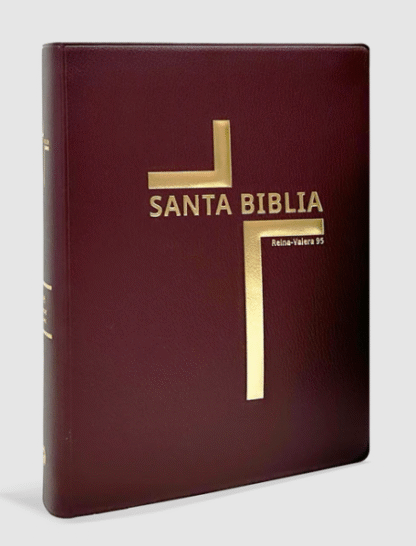 Biblia Reina Valera 1995 promesas letra grande con himnario color marron