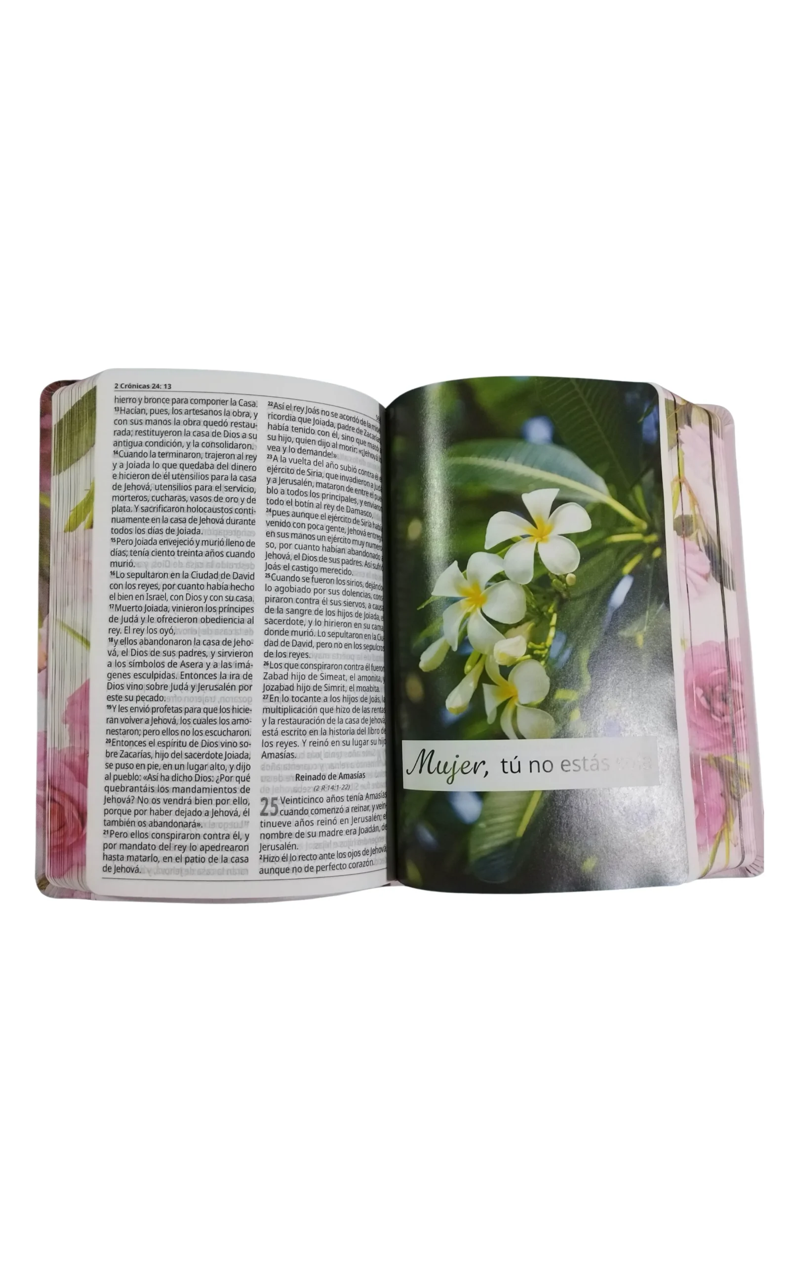 Biblia para la mujer letra grande con himnario RV-95 - Imagen 3