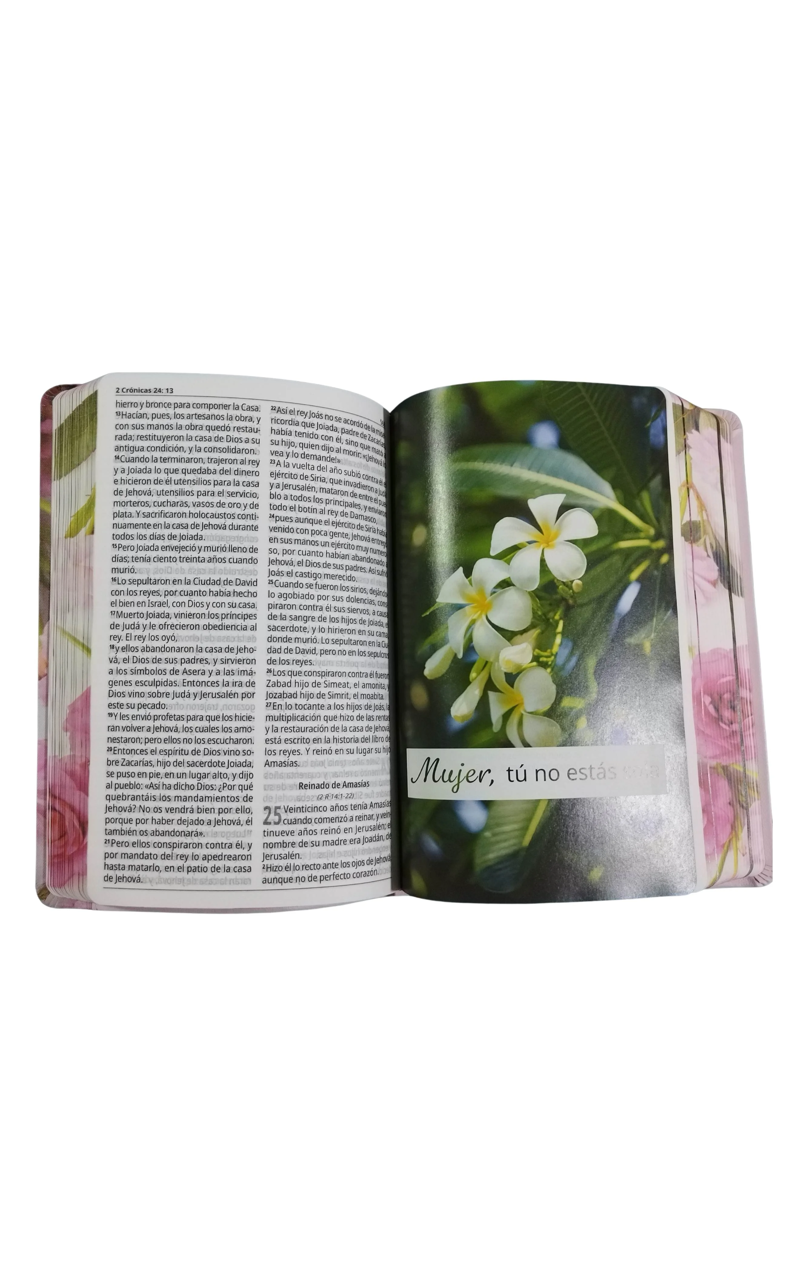 La Biblia versión Reina-Valera 1995 En tamaño y encuadernación muy manejable. Promesas bíblicas ilustradas y a todo color. Insertos con temática femenina, ilustrada y a todo color. Encuadernación elegante de piel fabricada y tela. Con una portada moderna. Con las palabras de Jesús en rojo. Himnario Adventista sin música. Cinta marcadora. Letra grande, fácil de leer