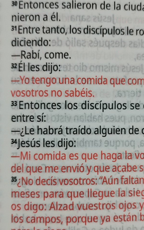 Biblia Reina Valera 1995 letra grande azul - Imagen 5