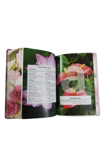 Biblia para la mujer letra grande con himnario  RV-95 - Imagen 2