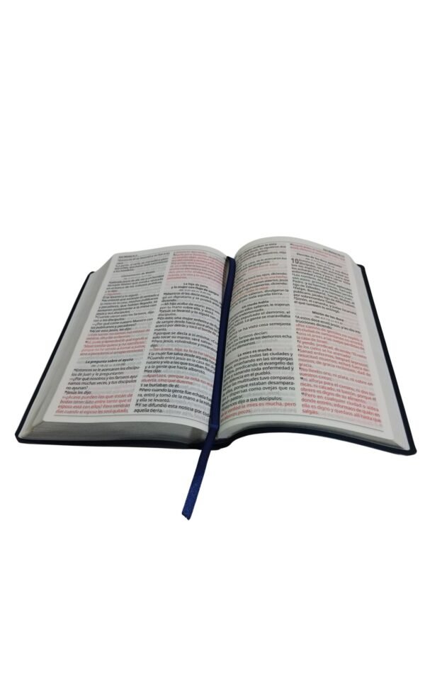 Biblia Reina Valera 1995 letra grande azul - Imagen 3