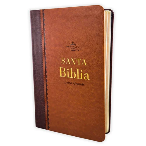 Biblia Obsequios y Premios Letra Grande cafe– RVR1960