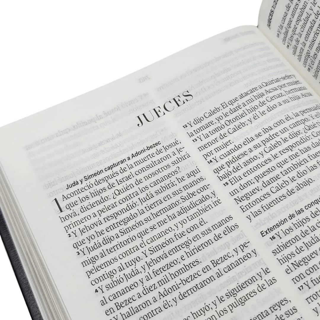 Biblia Letra Grande cafe– RVR1960 - Imagen 7