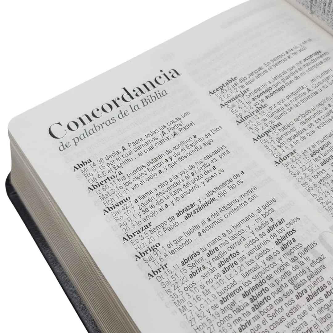Biblia Letra Grande cafe– RVR1960 - Imagen 3